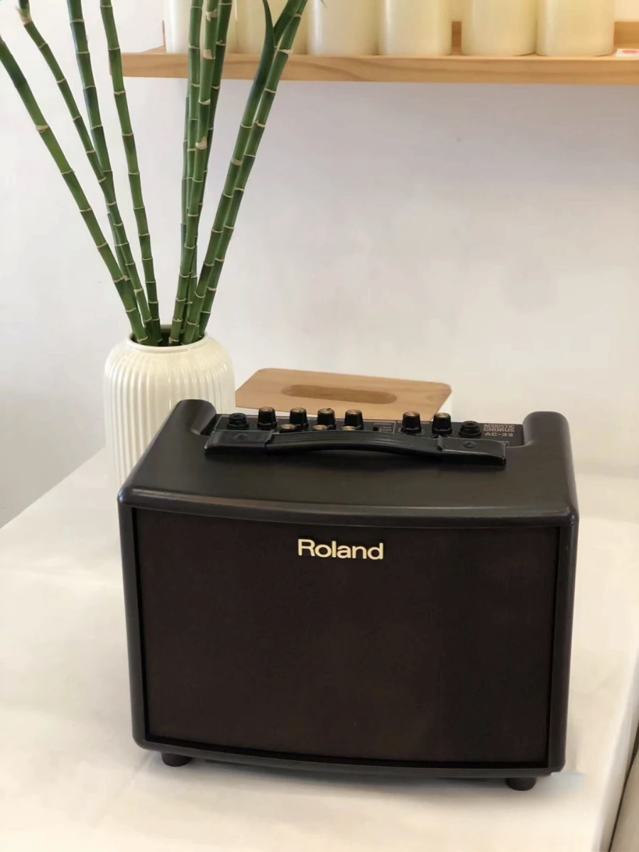 Roland AC-33-RW Hollow Guitar Amplifier Rosewood – Flight Roland AC-33-RW Hollow Guitar Amplifier Rosewood – Flight