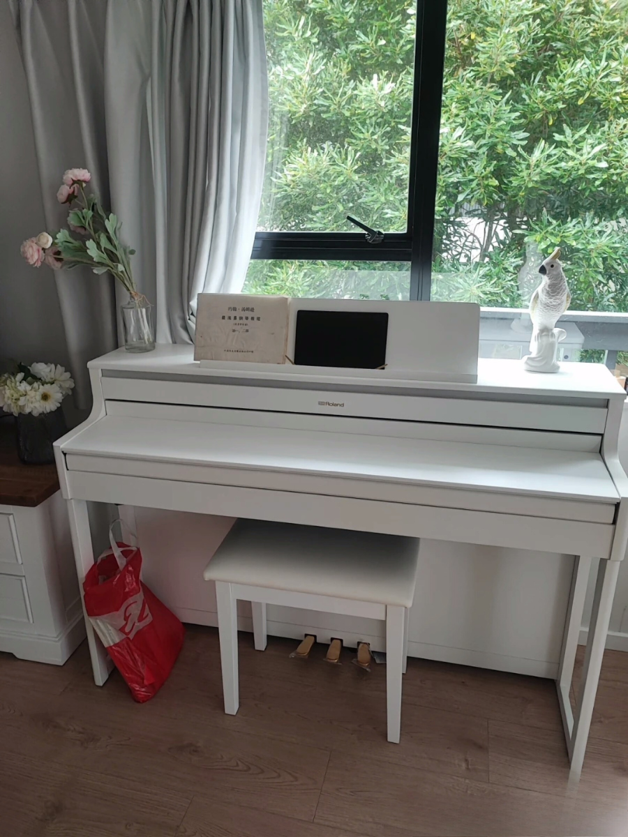 (No.7) Roland HP-704 HP704 Digital Piano