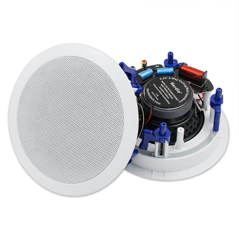 5.25" 藍牙吸頂 天花喇叭 600W 雙聲道 HCS4-528BTX2(兩對)