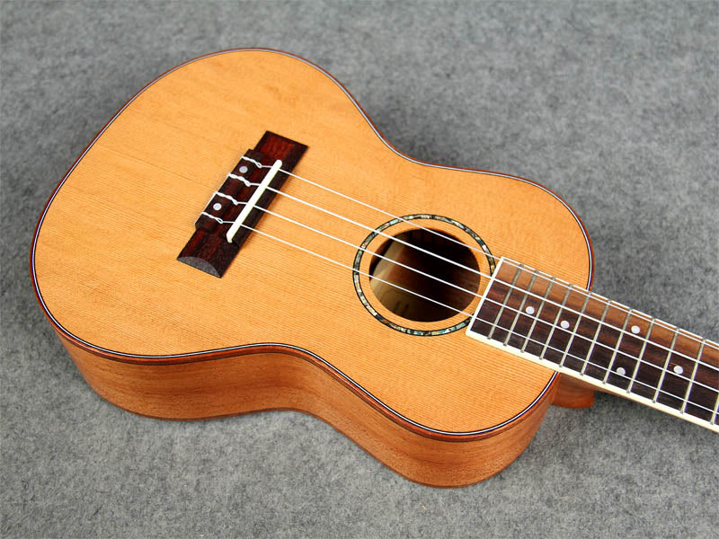 24寸 Chard 雲杉實木 Ukulele U-24D