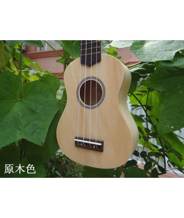 21寸 Fanyip IP2101