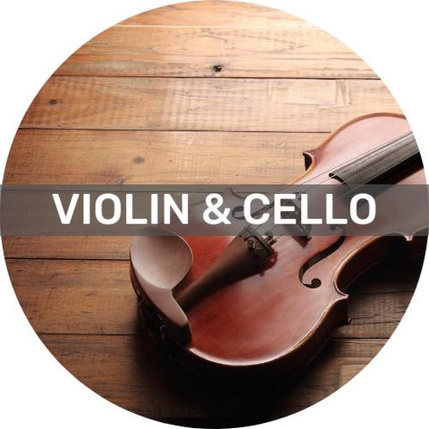小提琴 violin hk