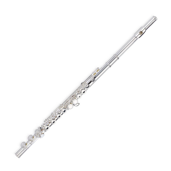 ENA silver-plated 16-hole flute Flute