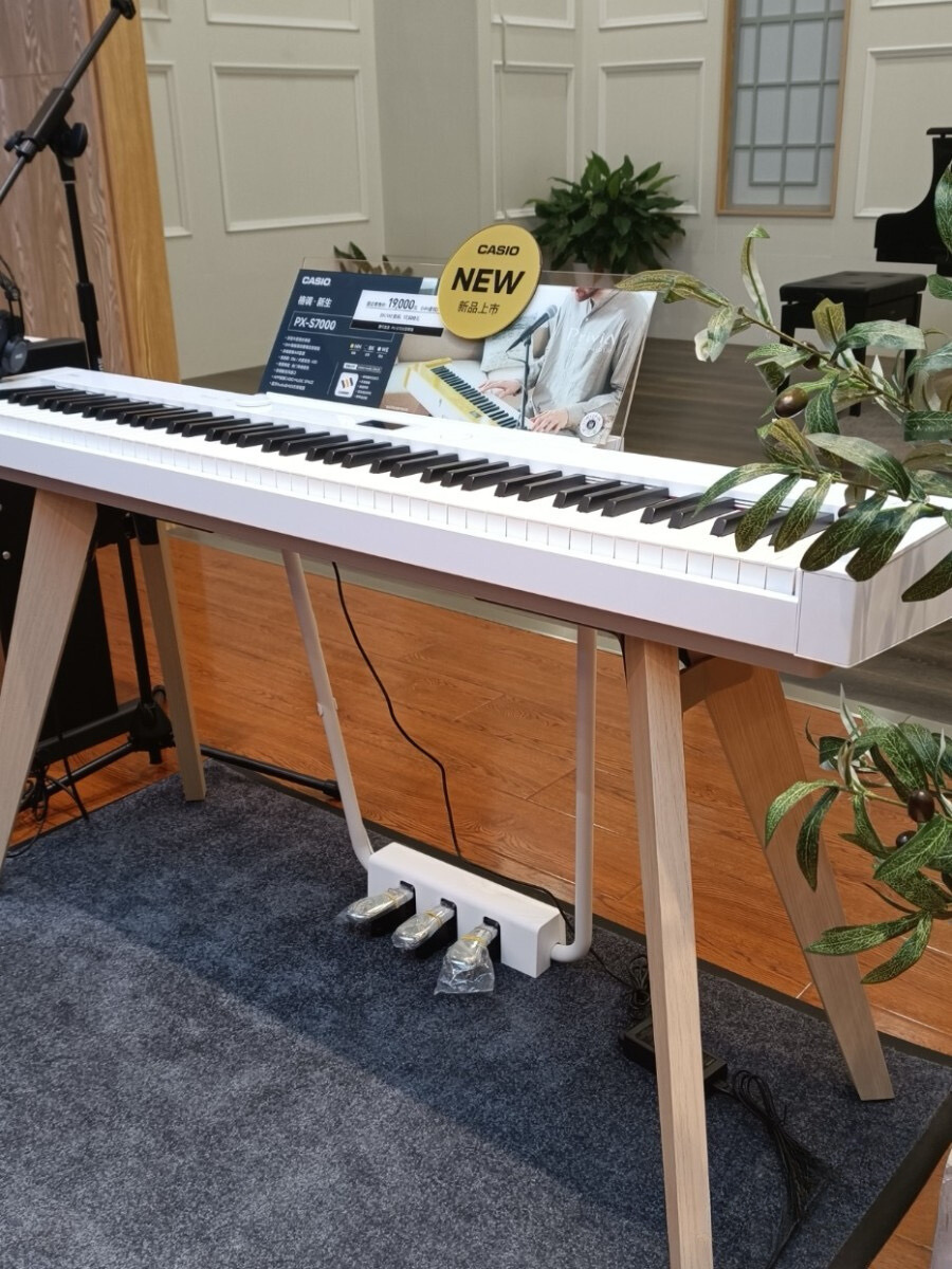 Casio PX-S7000 Digital Piano