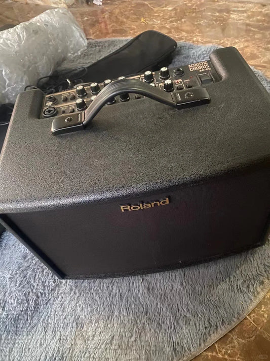 Roland AC-60-RW 空心吉他音箱 玫瑰木色