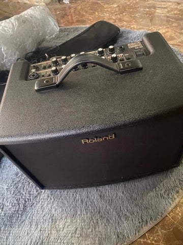 Roland AC-60-RW 空心吉他音箱 玫瑰木色