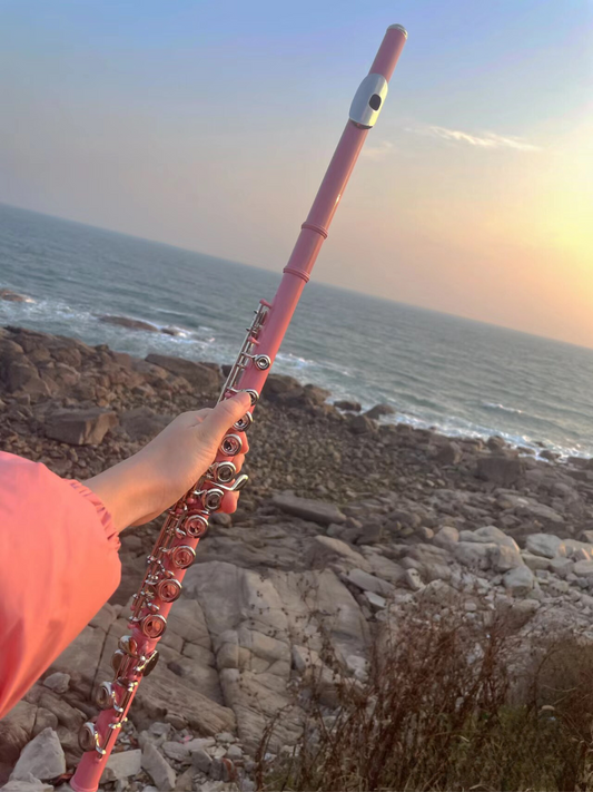 [Flute Class] Flute Learning Class for Adults or Children (Mong Kok Main Store) 