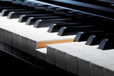 (Limited Time) CASIO GP-510 Hybrid Digital Piano