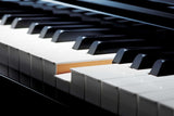 Discontinued CASIO GP-500 Hybrid Digital Piano