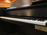 Discontinued CASIO GP-300 Hybrid Digital Piano