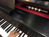 Discontinued CASIO GP-300 Hybrid Digital Piano