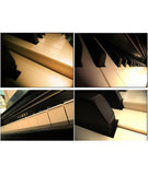 Kawai CA33 (CA30 New Version) Wooden Key Digital Piano