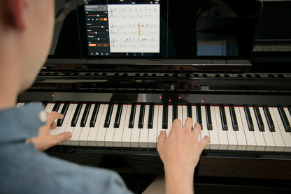 YAMAHA CSP-150 Digital Piano