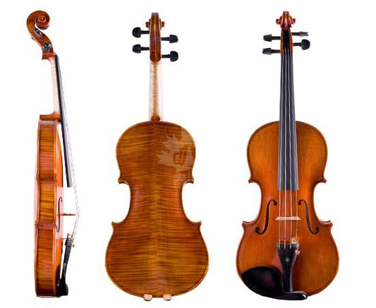 Beginner&#39;s Violin