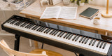 Nux Npk-1 Digital Piano
