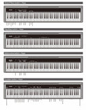 Nux Npk-1 Digital Piano